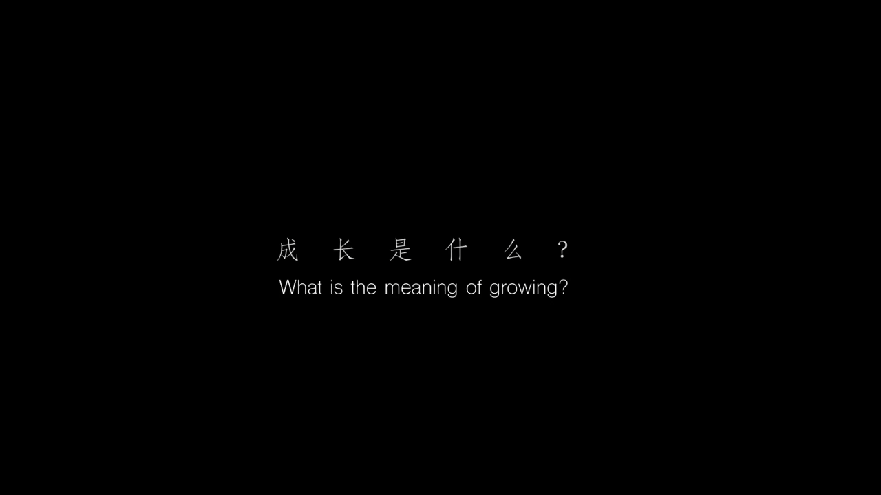 首都航空