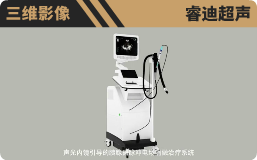睿迪超声