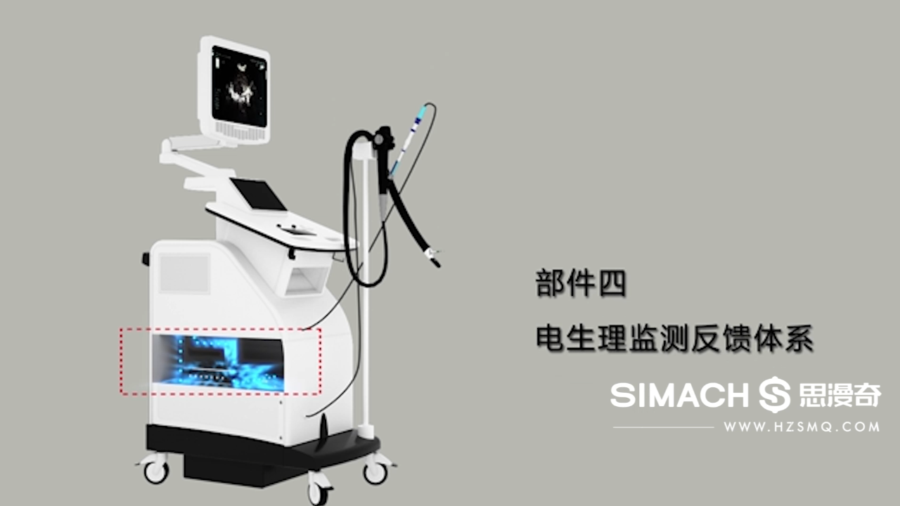 睿迪超声